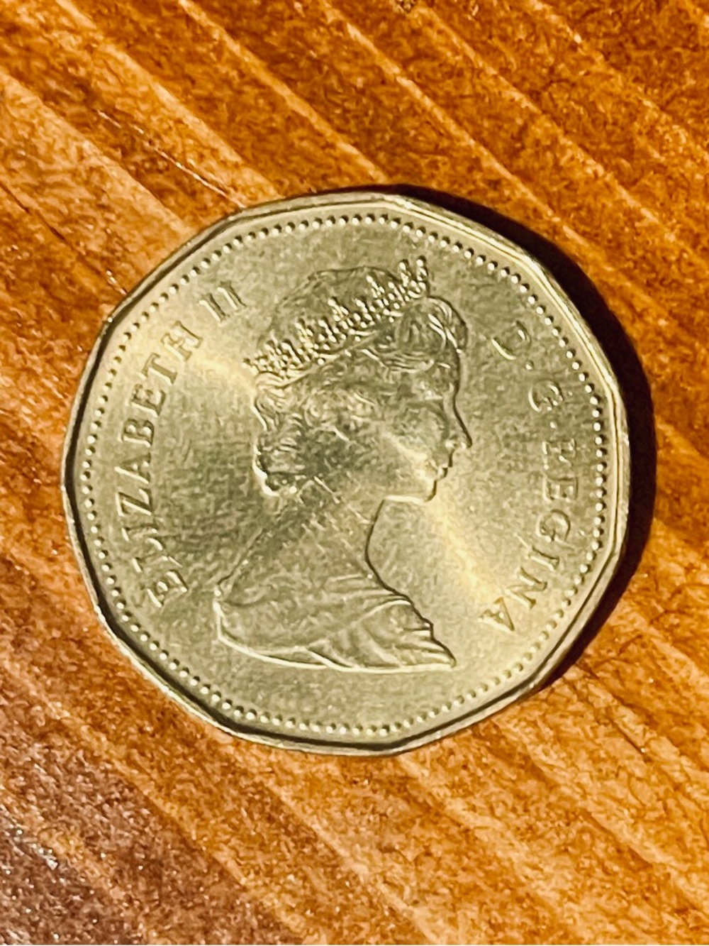 Rare Vintage 1987 Royal Canadian One Dollar Coin - Gold Tone